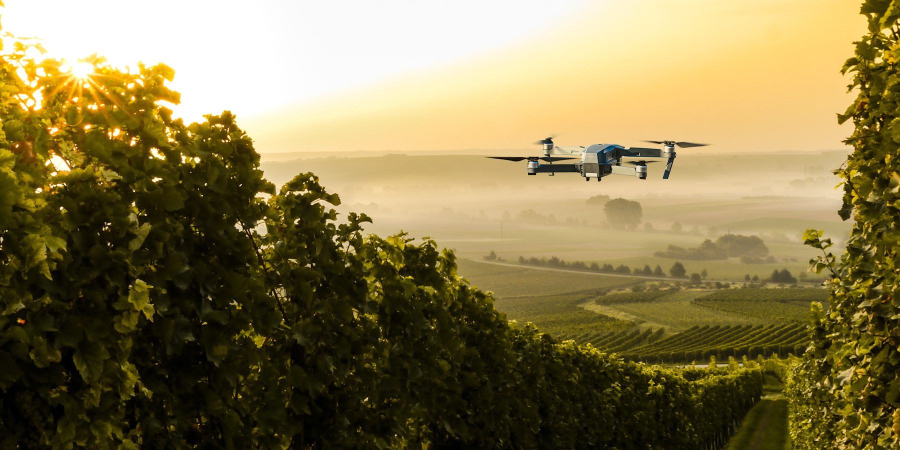 siteimage-rheinhessen-drohnen-aspect-ratio-1200-600